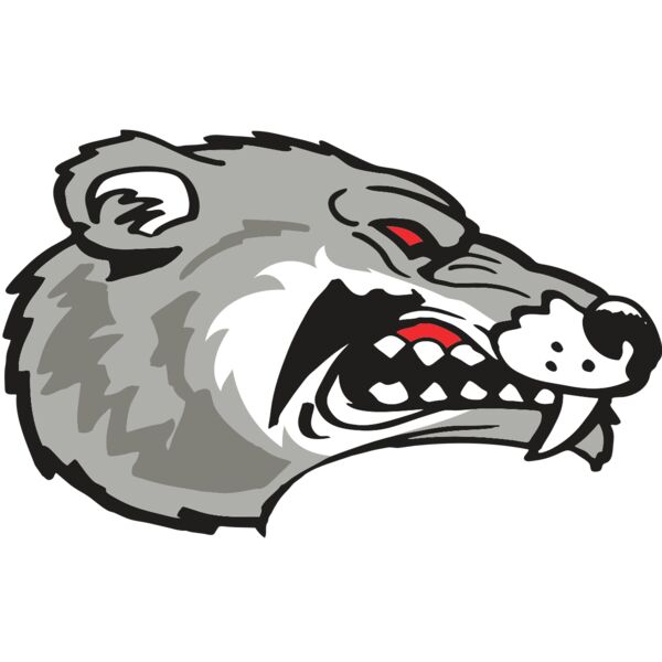 AR WOLVERINE 13 RC Thumbnail