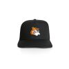 AS Colour/STOCK TRUCKER CAP Thumbnail