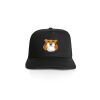AS Colour/STOCK TRUCKER CAP Thumbnail